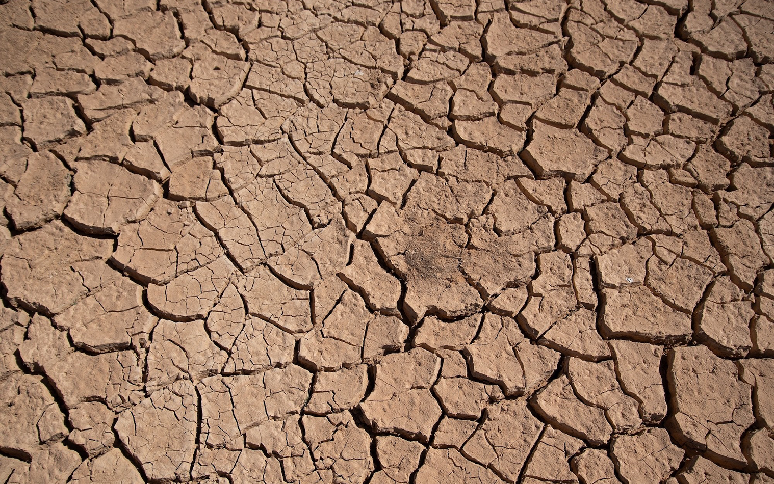 Thumbnail for Jordan’s Water Industry Taps Into ABB’s Digital and AI Technology to Address Resource Scarcity