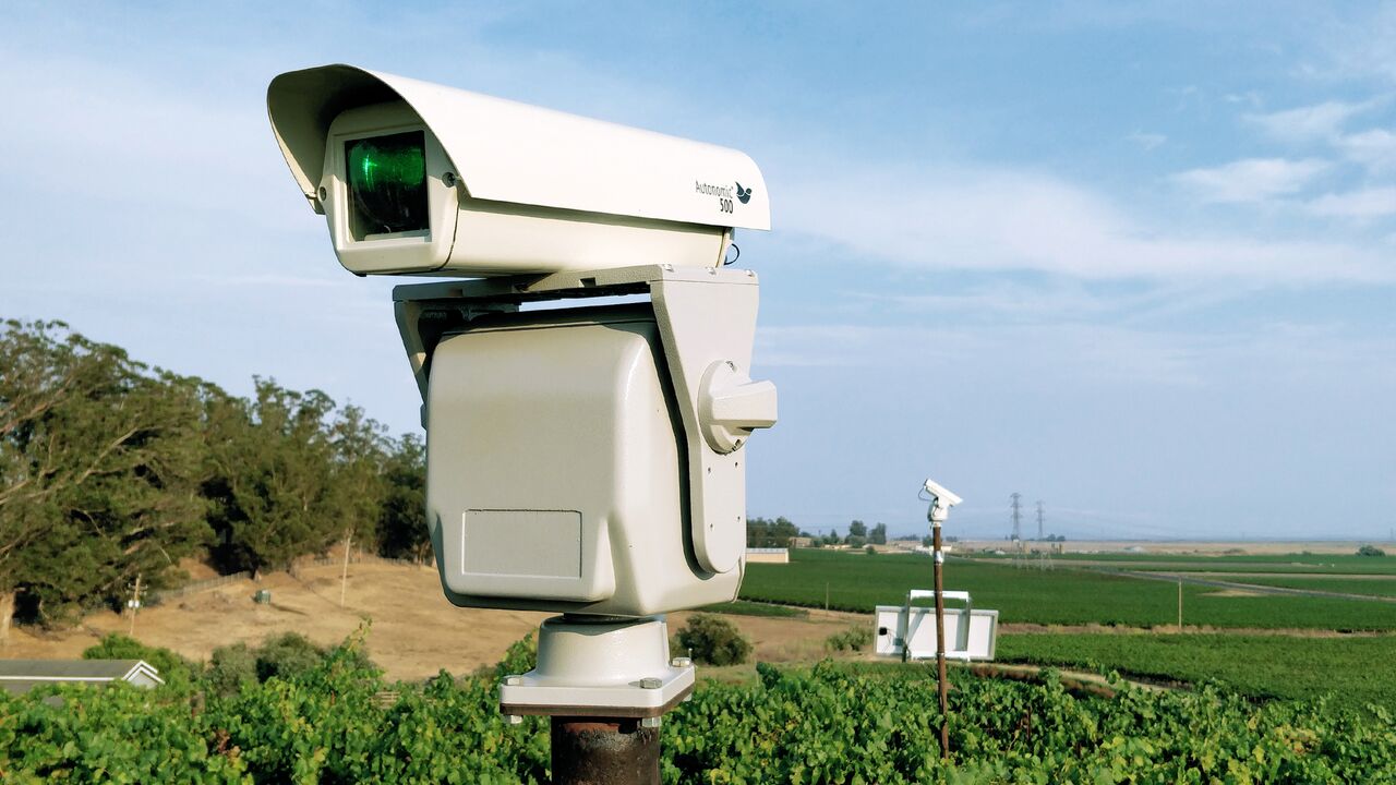 Bird Control Group uses autonomous lasers to repel birds for California vineyard