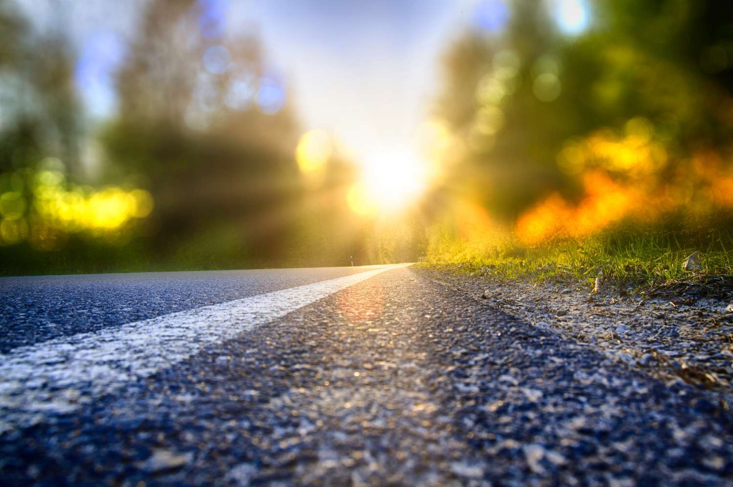 From the 2026 ISA President: Continuing the Path Forward