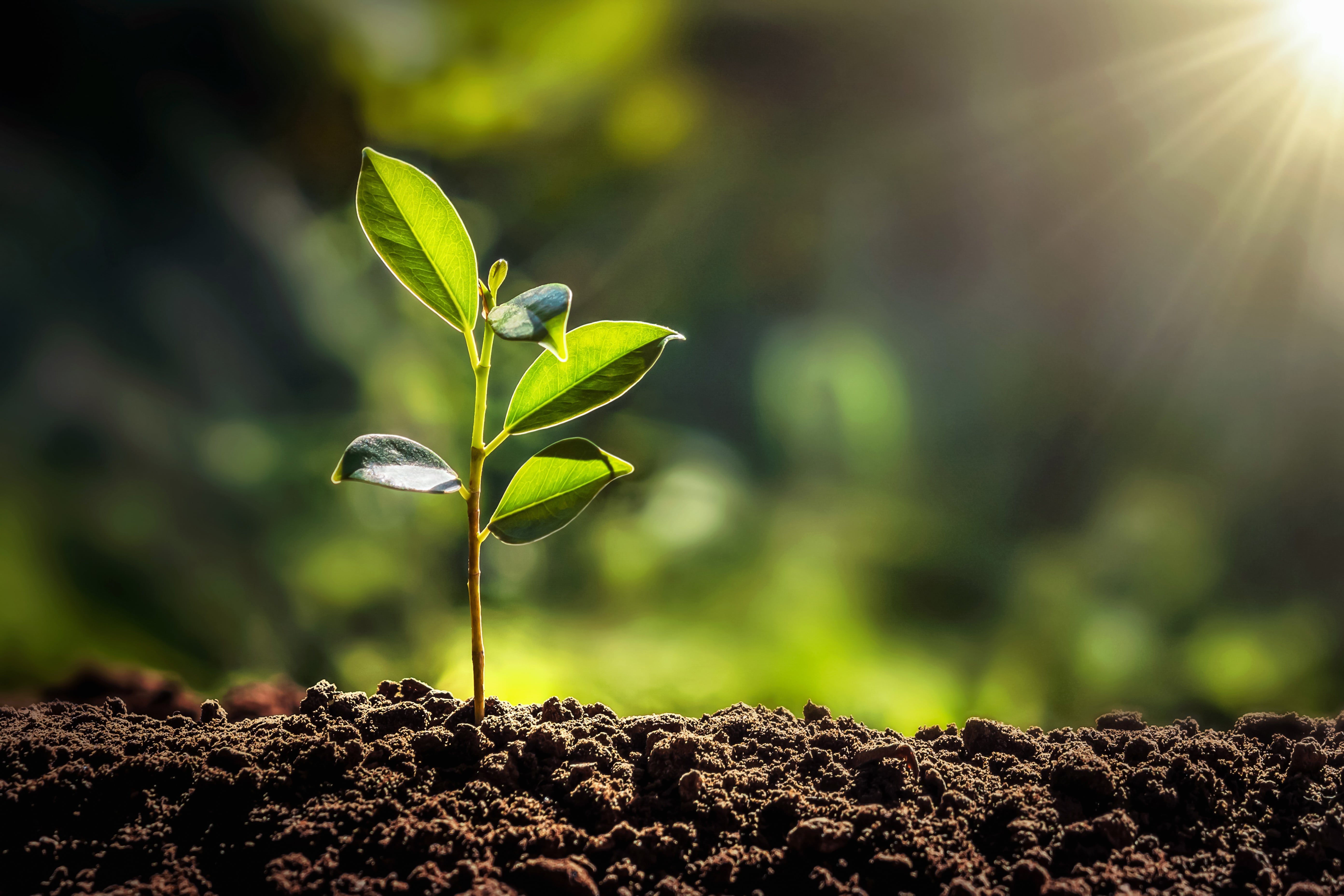 Sustainable Automation