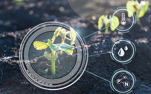 How IoT-Enabled Condition Monitoring Technology Keeps Produce Safe