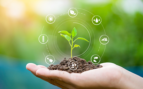 Need for Real-time Insights Drives Agriculture Technology Market