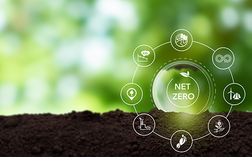 Collaboration Is the Only Way to Net Zero