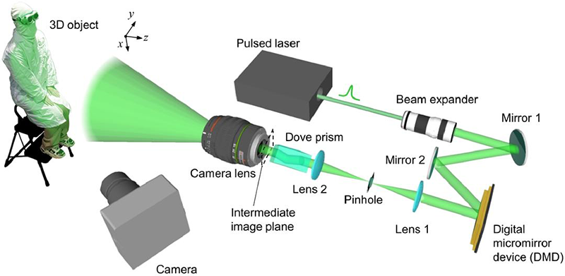 Schematic of the MS-BLIP system
