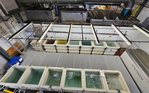Captec Invests in Advanced Surface Treatment Infrastructure to Meet Highest BR 3939 Warpaint Standards
