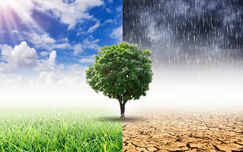 Schneider Electric Climate Change & Sustainability Commitment: Innovation Summit World Tour 2020