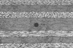 FBGS announces DTG 80µm sensing fiber