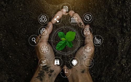 Emerson to Spotlight Sustainability Progress at COP29