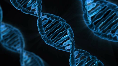 Automation and Gene Therapy
