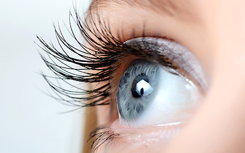 Seeing is Believing: Mikrotron Camera Used in Developing Pupil Tracking Device for Eye Research