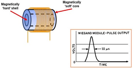 Figure 7: Rapid changes in the magnetic polarity of the wire core induce short pulses of electrical current in the fine copper coil wrapped around the Wiegand wire.