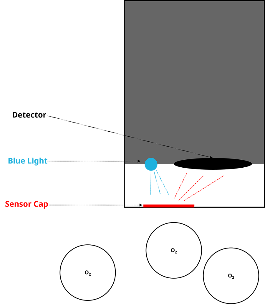 Figure 2: Optical sensors employ fluorescence quenching to measure DO. Blue light is emitted by an LED, causing the sensor cap to produce red light. This red light is inhibited by oxygen in the process media, and the resulting spectra is measured, with its intensity inversely proportional to the concentration of oxygen in a highly linear relationship.