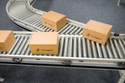 FKI Logistex introduces Case Conveyor Solutions