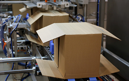 Accelerating Sustainability with Flexible Packaging Automation
