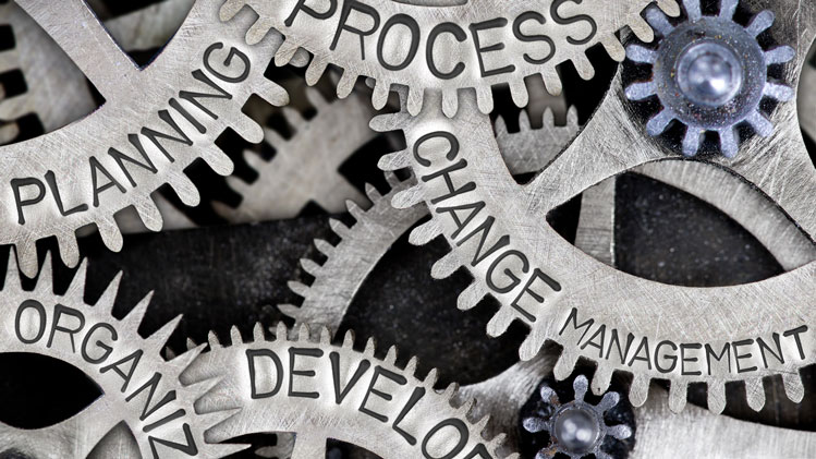 Leadership Transition Is a Process Not a Transaction