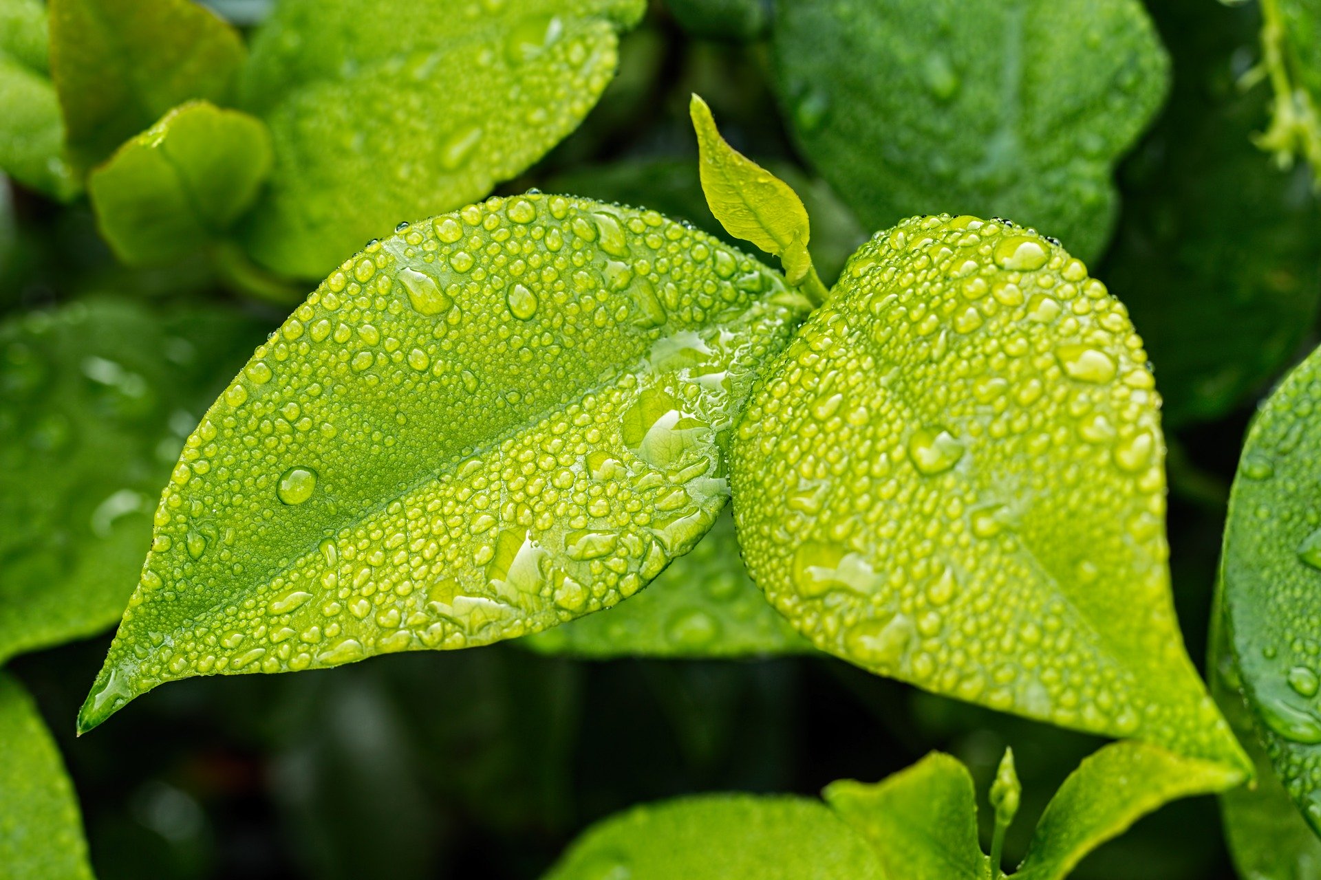 5 Ideas to Help 'Green' the Automation Industry—and Make Some Green