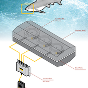 FUTEK instrumentation helps measure bite of great white shark on Discovery Channel