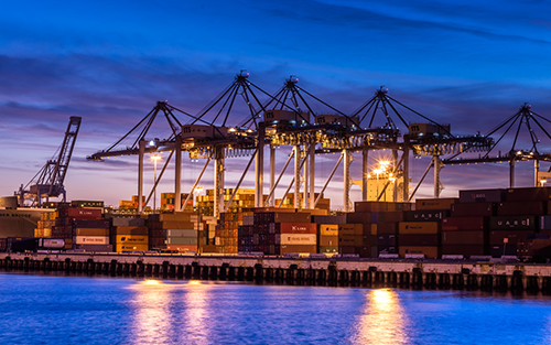 Supply Chain Optimization Through Innovation and Evolution