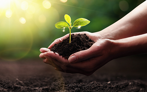 2024 ARC Forum: End Users Share Sustainability Driven Business Objectives