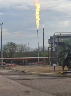 Figure 4: Gas production plant’s high and low-temperature flare.