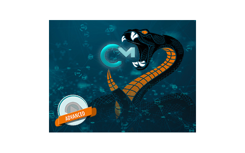 Wibu-Systems Adds Support for Protecting Python Code in its Native Form